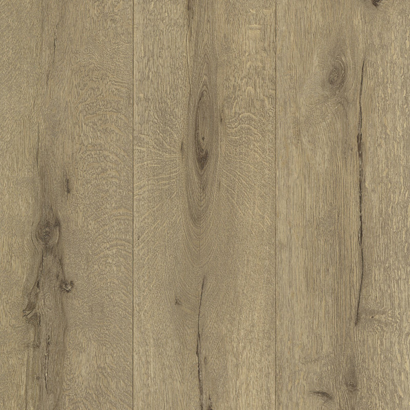 Roll, Light Brown