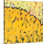 «Noleen Little House on the Hill No. 2», reproduction d'art sur toile