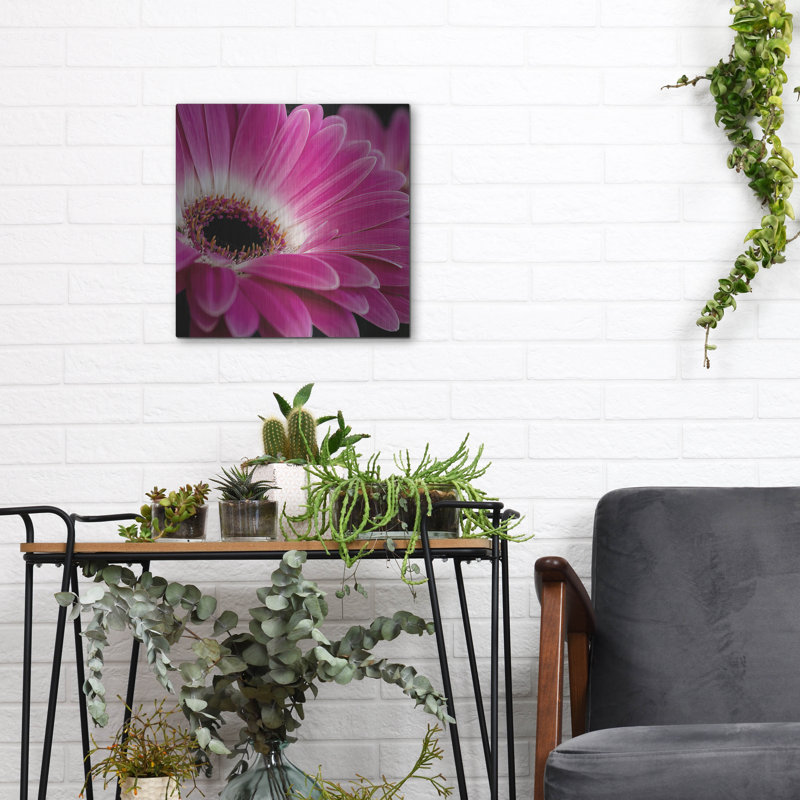 «Gerbera Daisy» par Pamela Plummer, art mural en métal, 12 po x 12 po, H 24 po x l 24 po