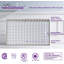 60" x 30" D Single Threshold Shower Panel Base with Drain Assembly and Drain Cover Included, Non-Slip-65273732-36500000