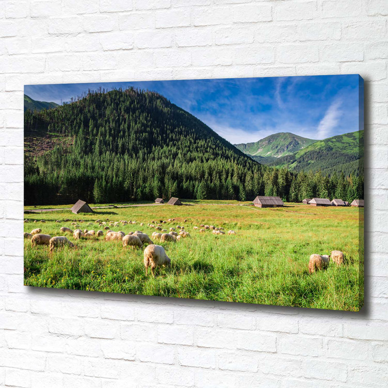 Sheep In The Tatras - Print, Glass