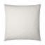 Eisen Pillow Cover & Insert-1962071740