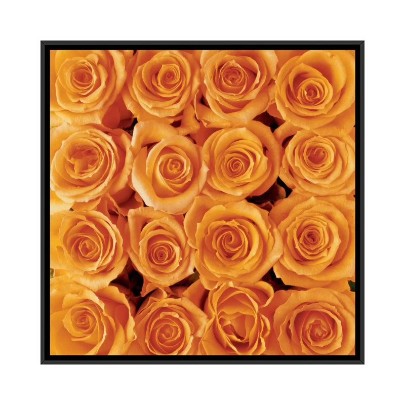 « orange rose creation », impression sur toile, H 18 po x l 18 po x P 1,5 po, Toile avec cadre noir, Pas de tapis