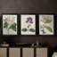 Antique Antique Botanical Collection-20903245-20903246
