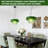 Mid Century Modern Glass Pendant Light-109252920