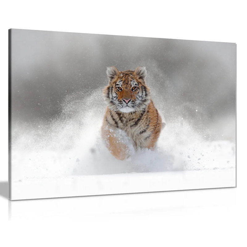 Siberian Tiger Running In Snow Wildlife Nature Canvas Wall Art Picture Print - Wrapped Canvas Print, 61cm H x 91cm W