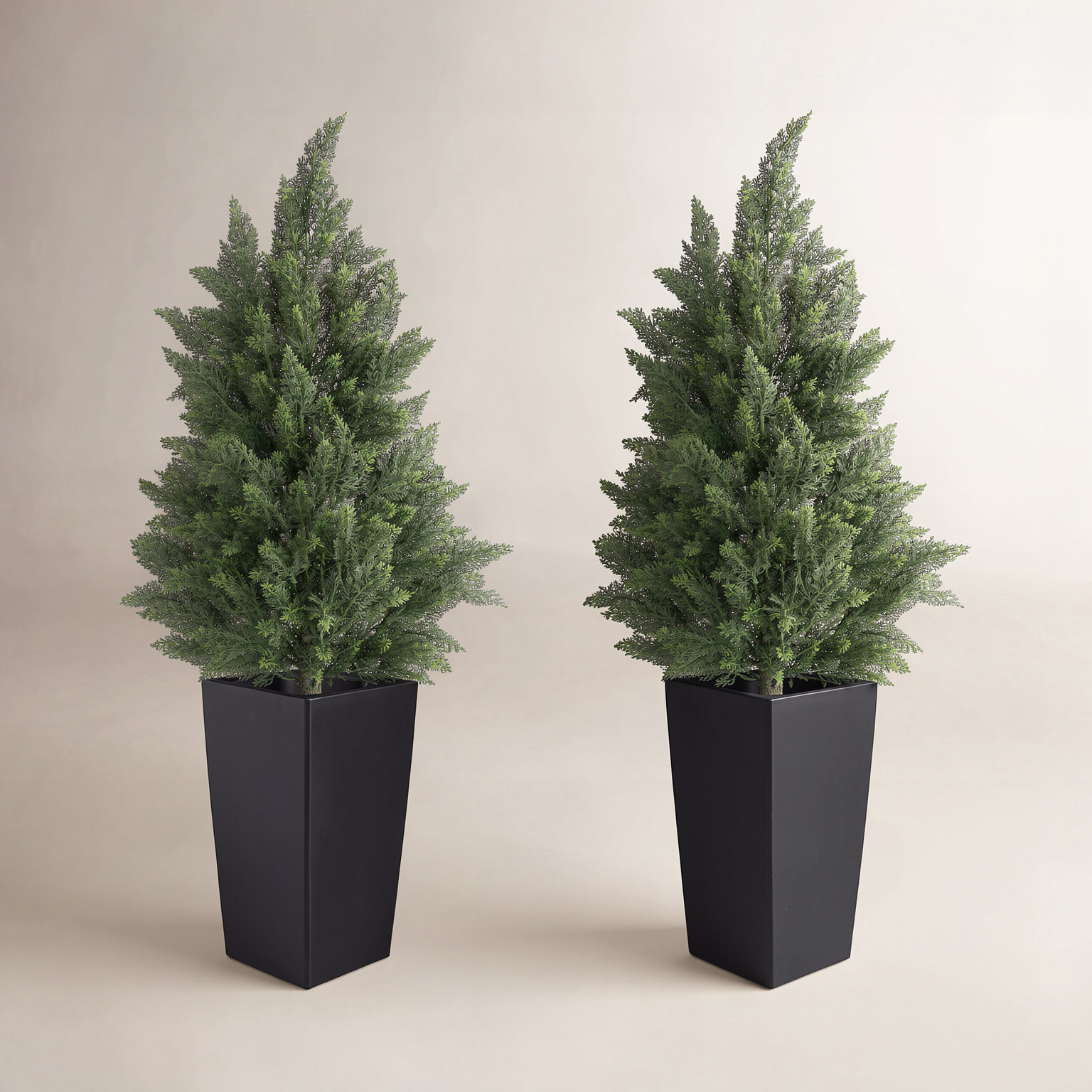 47" Cedar Tree in Pot, Black