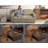 Shortridge 48.5" W Convertible Sleeper Sofa Bed with Adjustable Backrest-1222057714