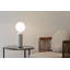 Emma Ta Globe Lamp