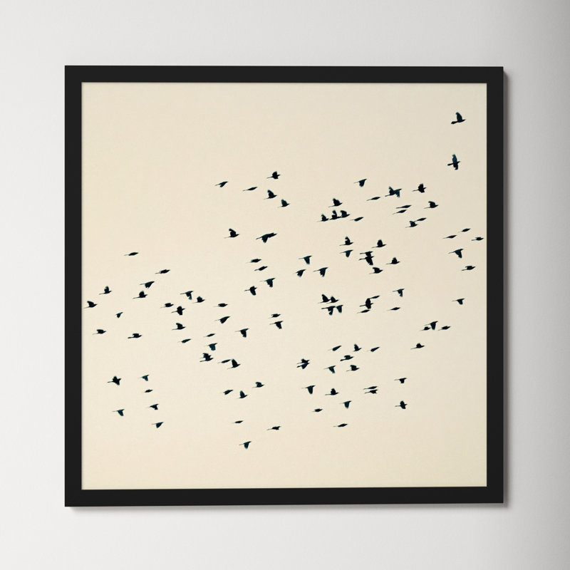 Soaring by Peter Dušek, 36" H x 36" W x 1.25" D, Black