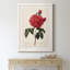 Red Botanical III - cadre photo, impression sur toile-61317222-61317225