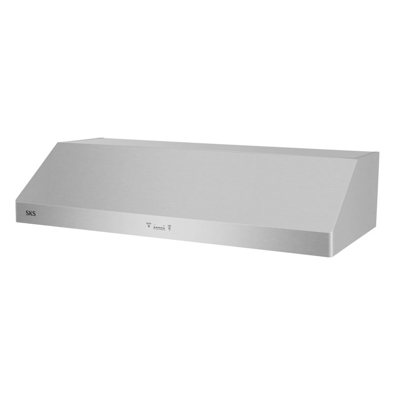 48" Professional Vent Hood
