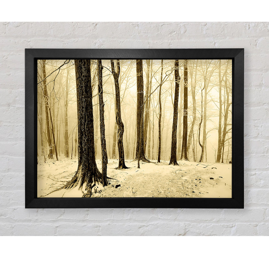 Winter Woodland Snow - Einzelner Bilderrahmen Kunstdrucke