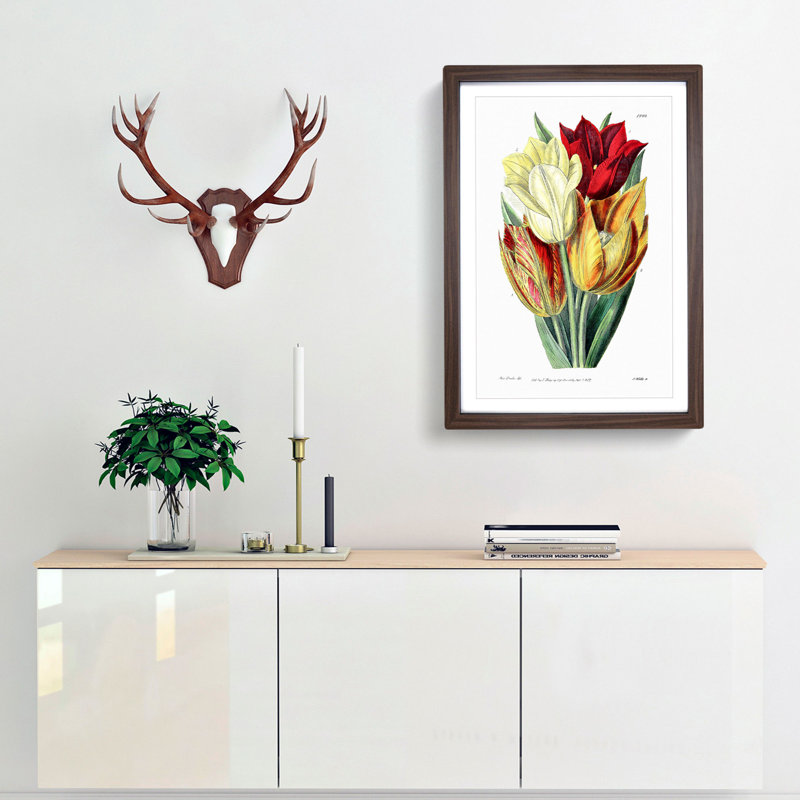 Rough-Stemmed Tulips - Picture Frame Graphic Art Print, 50cm H x 35cm W x 2cm D, Walnut