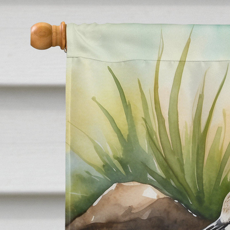  Drapeau de la maison d'oiseaux, Willet