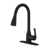 Oil Rubbed Bronze
