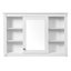 Armoire de rangement murale de salle de bain 42 po