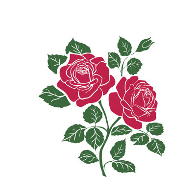 Rose by Alesikka - Wrapped Canvas Print