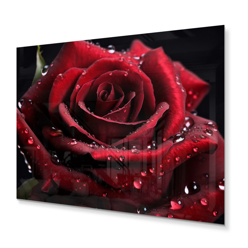 Rose rouge avec gouttes de pluie II - impression sans cadre sur métal, H 12 po x l 20 po x P 1 po