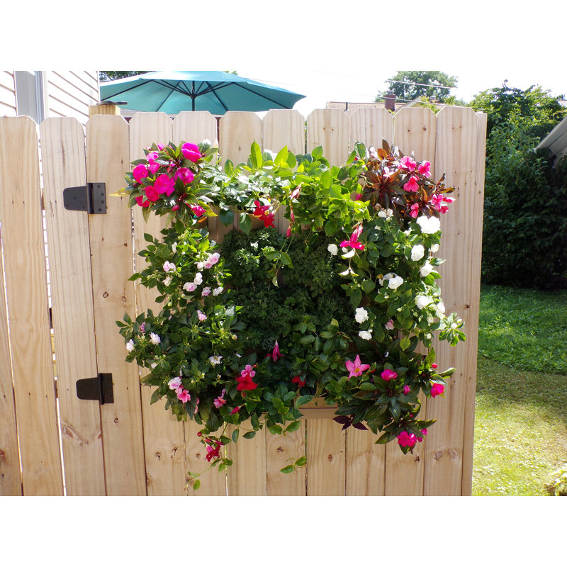 Manac Wall Planter, Sand