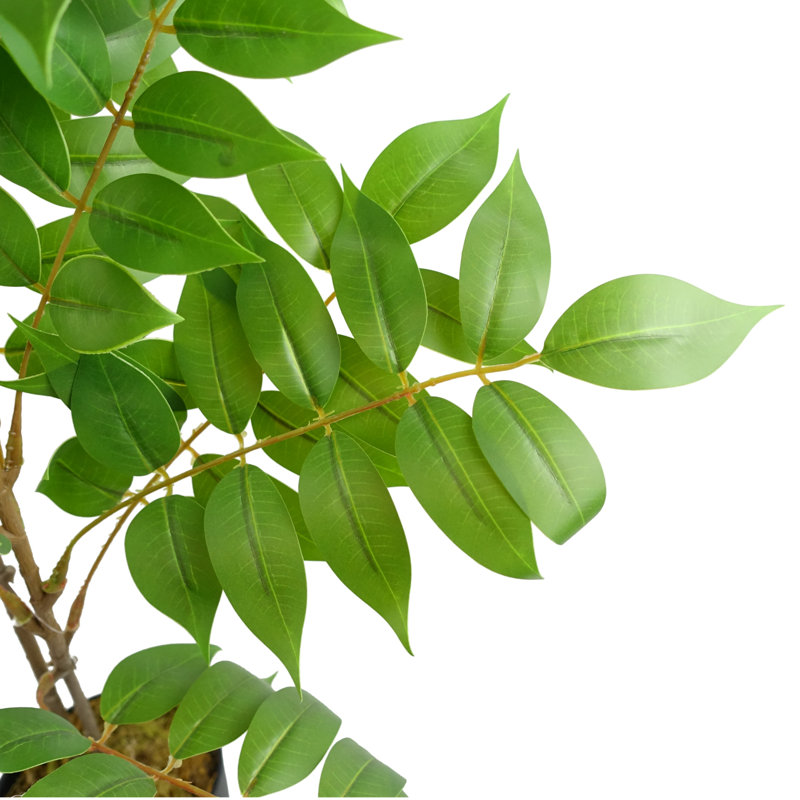 Anjeli Faux Foliage Plant in Pot, 110cm x 60cm