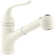 Coralais Pullout Single Handle Kitchen Faucet with MasterClean™