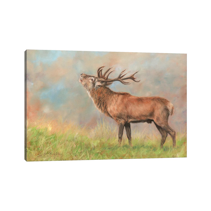 Red Deer by David Stribbling - Wrapped Canvas Painting, 101.6 cm H x 66.04 cm W x 3.175 cm D