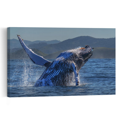 Humpback Whale Breach Contemporary Whale Coastal Mountain Wall Art Print