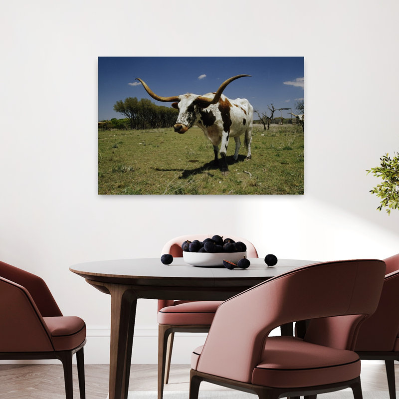 Texas Longhorn, bovin debout dans un champ, paysage contemporain contemporain, art mural, H 24 po x l 36 po
