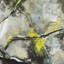 Still Life with Lemons a Hand Embelished Textured Canvas-92377486