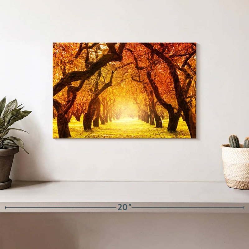 Alvord Autumn Forest Trail, H 8 po x l 12 po