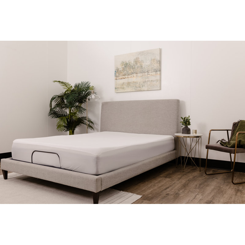 Rudnick Waterproof Fitted Mattress Protector Mattress Protector Case Pack, Queen