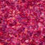 Tapis rose à poils longs Godsey-1604685649