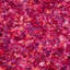 Tapis rose à poils longs Godsey-1604685663