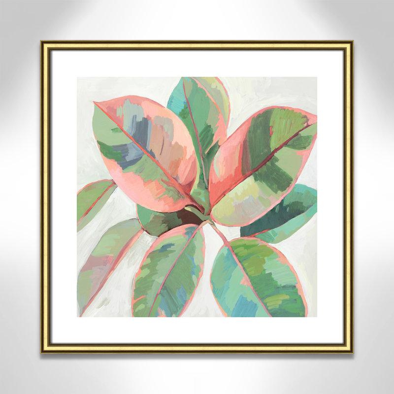 «Pink Ficus II», reproduction d'art, Papier encadré doré, H 24,75 po x l 24,75 po x P 0,88 po