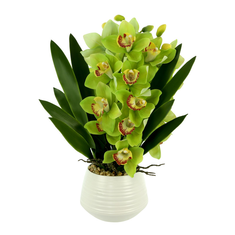 Orchid Arrangement with Rocks in a Ceramic Pot, Green