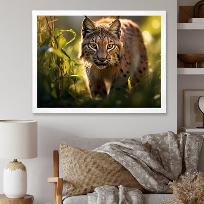 Portrait de lynx brun dans la nature