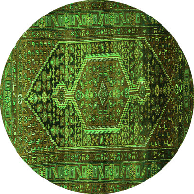 Performance Oriental Indoor Rug