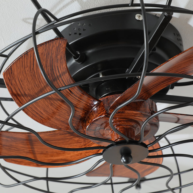 Ventilateurs de plafond cage 20 "avec lumières Teytovia
