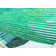 Maisie Modern White Palm Area Rug