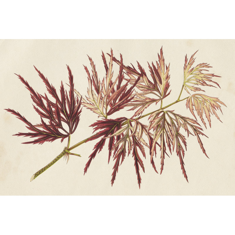 Japanese Maple Leaves V by Stroobant - Painting, 51cm H x 76cm W, Black Floater Framed