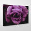 Flower Purple Rose Photographic - Wrapped Canvas-19041293