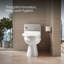 C3® 155 Cleansing Elongated Toilet Seat-990221151