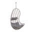 Shayna Swing Chair with Stand-1880068117-1880068119