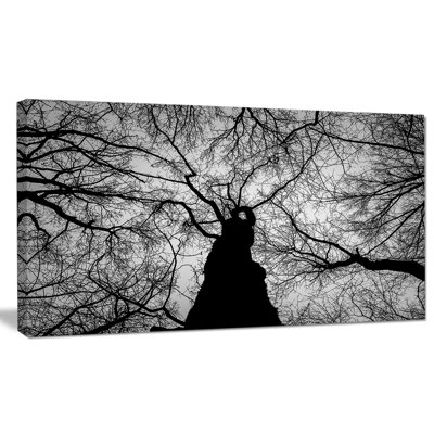 « hoto of winter branches », reproduction de photo sur toile tendue