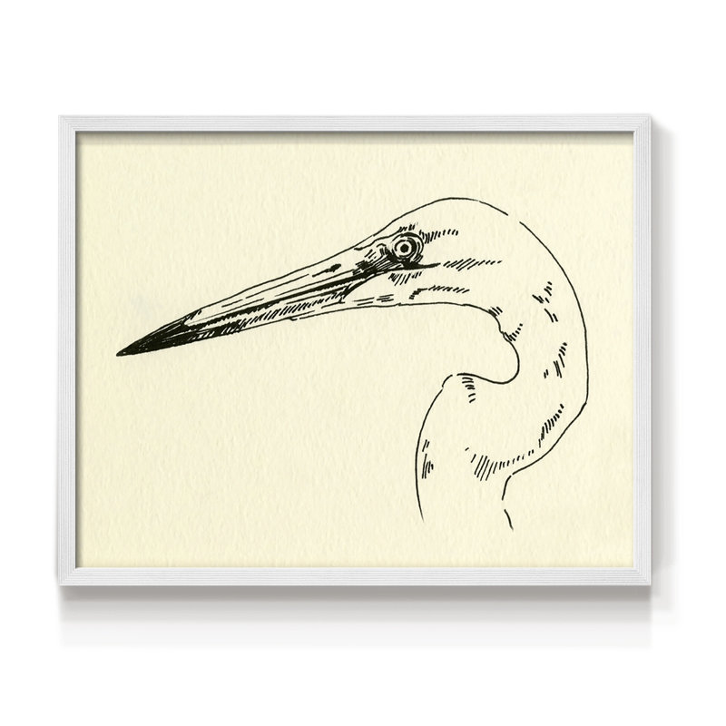 Heron Head II -Framed Print - Restickable, H 8 po x l 10 po, Blanc