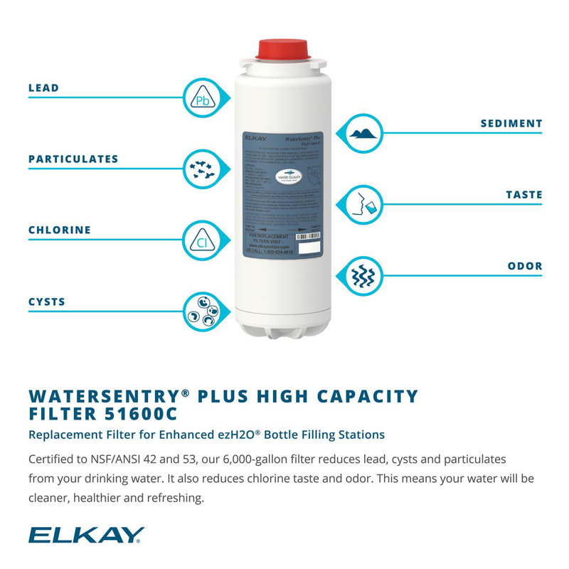 Filtre de remplacement Watersentry Plus