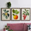Feuillage antique et fruit VI - ensemble de 3 peintures sur toile encadrées-305686306-305686307