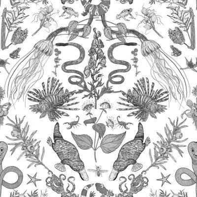 Papier peint Critter