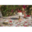 Cherry Cotton Square Napkins